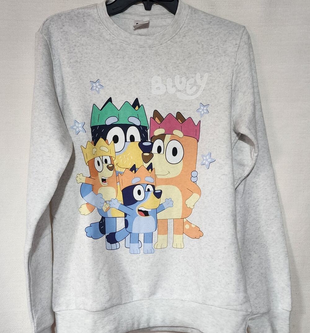 Bluey family gray sweatshirt men's small